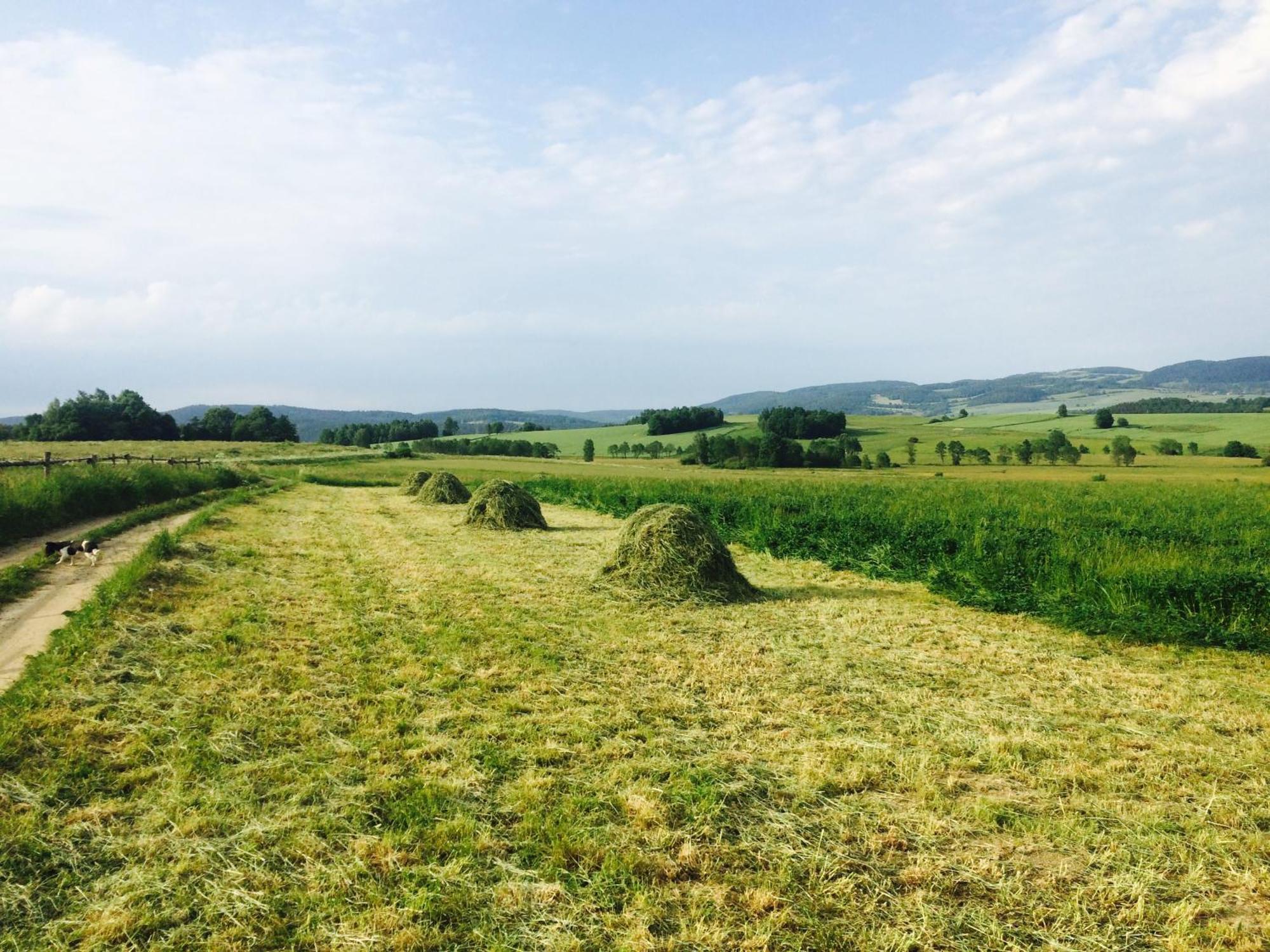 Siedlisko Wierchy Wiesciszowice Extérieur photo